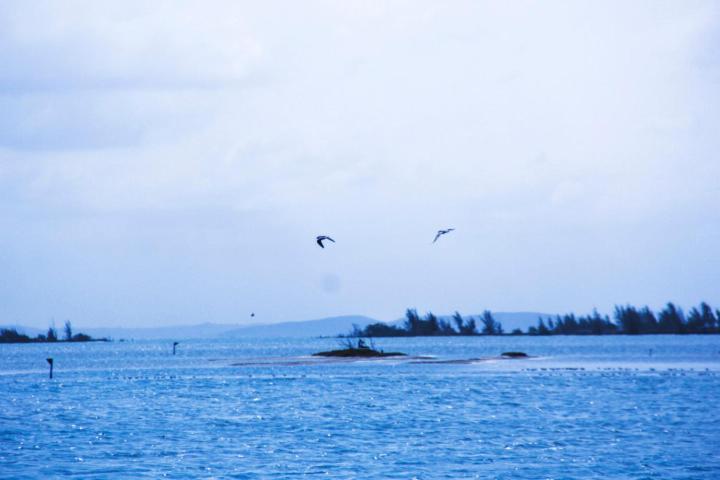 Apartamento Arraial Do Cabo Com Vista Para A Lagoa - Golden Lake エクステリア 写真